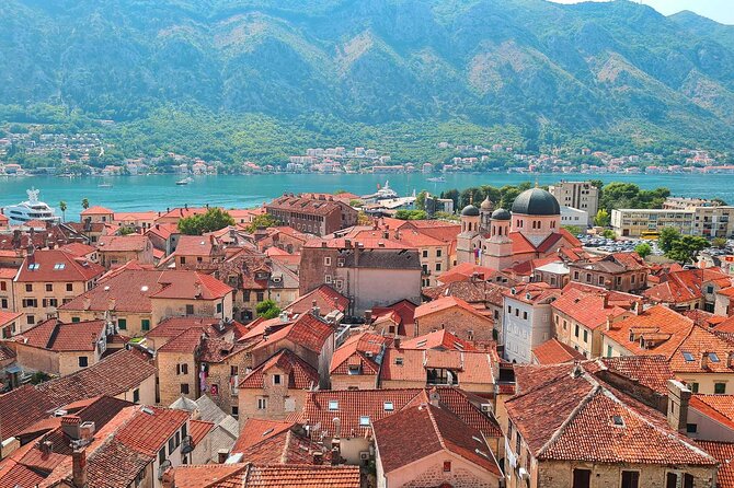 Day Tour of Budva and Kotor Montenegro from From Tirana & Durres - Authentic Feedback from Travelers