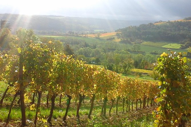 Day tour of the road of the Grands Crus vineyards of Burgundy. - Considerations Before Booking