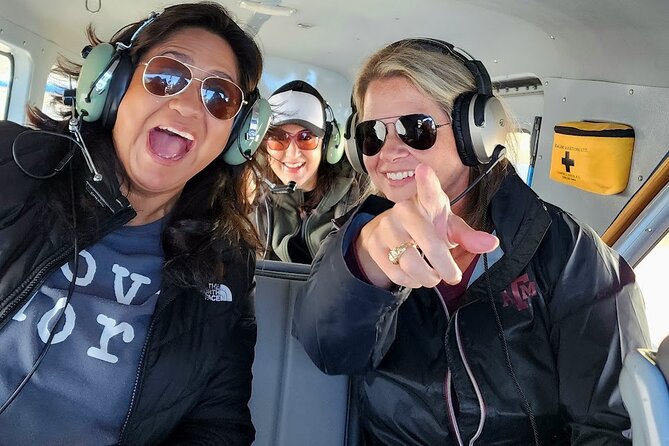 Denali Southside Adventure Flightseeing Tour from Talkeetna - Authentic Insights from Reviews