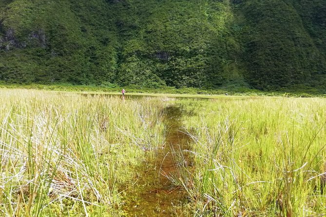 Descent to Caldeira do Faial - The Perfect Adventure - Who Will Love This Tour?