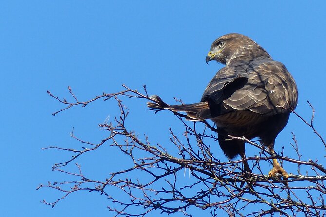 Discovery Wildlife Safari - Who Will Love This Experience?