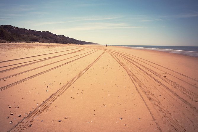 Doñana Natural Park Full-Day Tour from Seville - The Practical Aspects: What You Need to Know