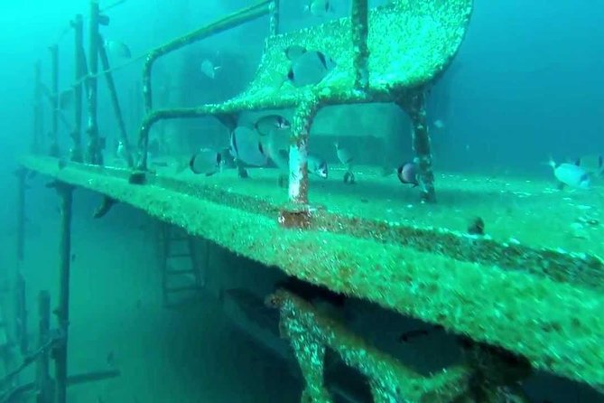 Double Dive the Fantastic Ocean Revival Park - Practical Tips for Travelers