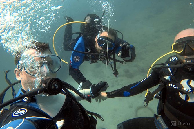 Double Shore Dive (certified divers) - Who Is This Tour Best For?