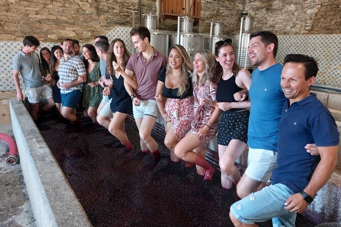Douro Valley Pinhao Quinta da Foz Tour and Tasting 5 Wines - Final Thoughts