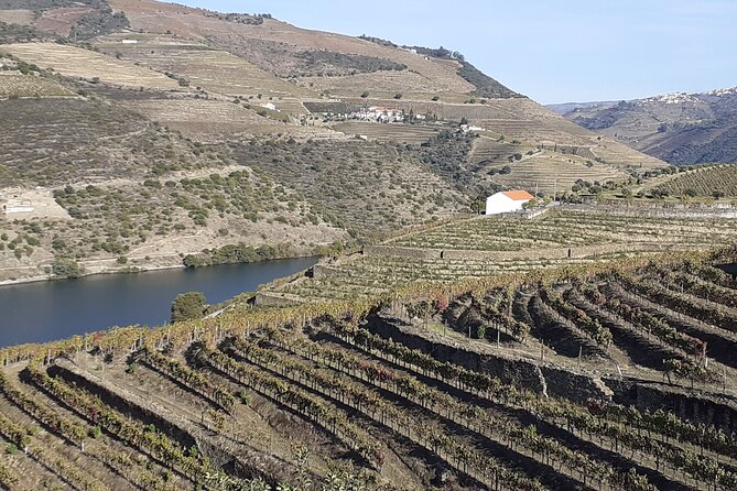 Douro Valley Premium with wine tasting lunch and boat - Final Thoughts