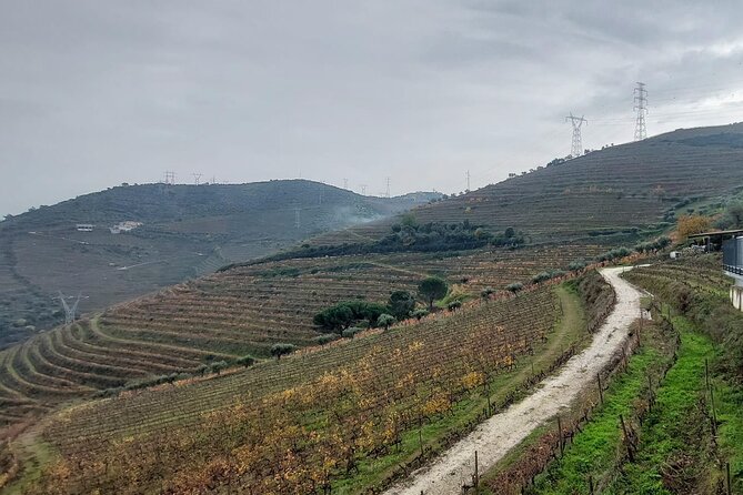 Douro Valley private tour full day - Final Thoughts