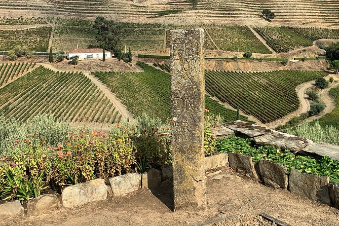 Douro Valley private tour includes wine tasting and boat trip - Authentic Insights from Reviewers