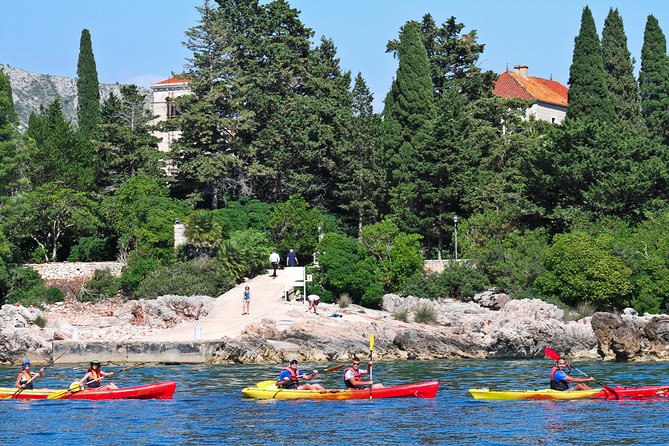 Dubrovnik: Sea Kayaking & Snorkeling Tour - How Does the Price Reflect the Experience?