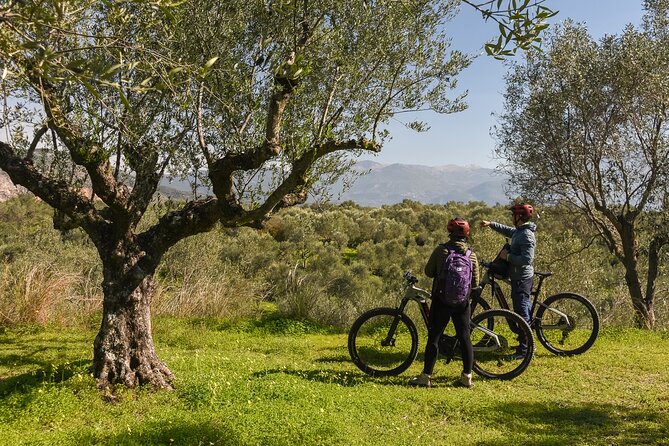 E-Bike Kalamata Olive Routes - Final Thoughts