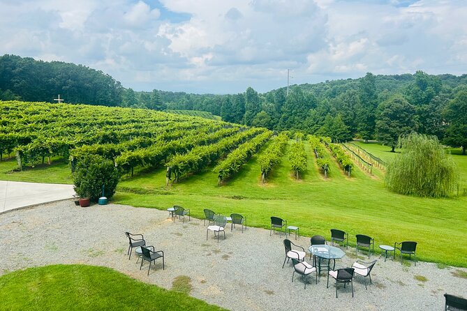 Elijay Three Vineyards Private Wine Tasting Tour from Atlanta - Pricing and Value