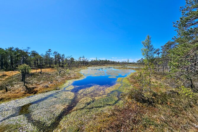 emeri Bogs Adventure: Explore Wetlands In Bog Shoes - Transport and Logistics