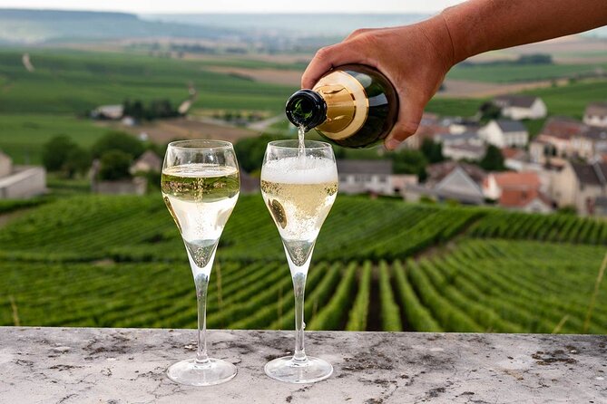 Epernay and Reims Champagne Private Day Trip from Paris - Who Will Love This Experience?