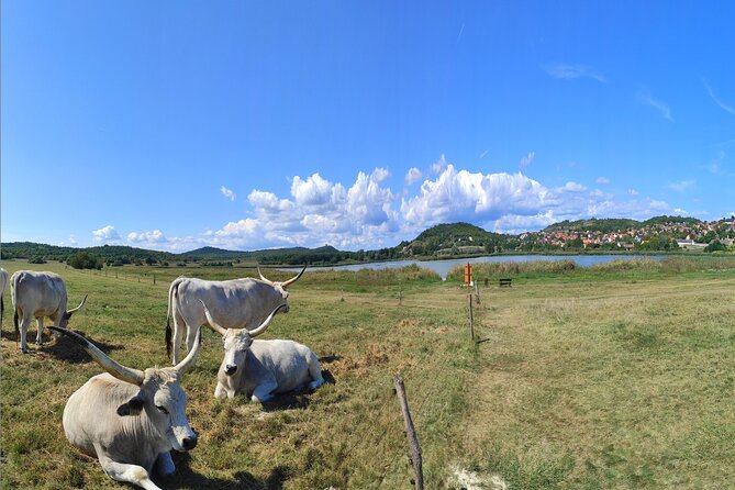 Essence of Hungarian Rural Beauty: 5 Hour Balaton Private Tour - What Makes This Tour Stand Out?