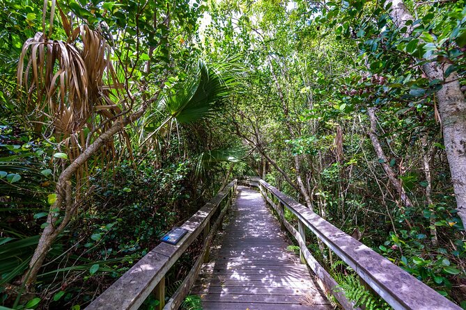 Everglades National Park Self-Guided Audio Tour - The Sum Up