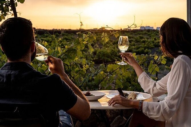 Exclusive Santorini Private Wine Tasting & Greek Lunch Experience - What’s Included & What To Expect