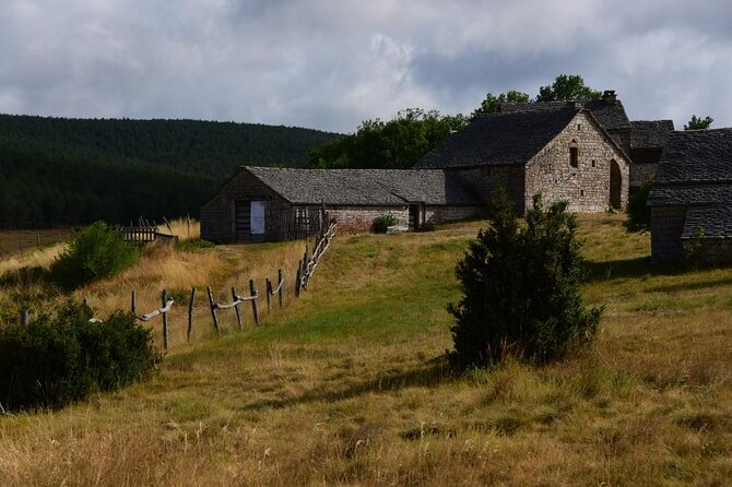 Excursion Gorges du Tarn and Causses in the morning - Final Thoughts: Who Will Love This Tour?