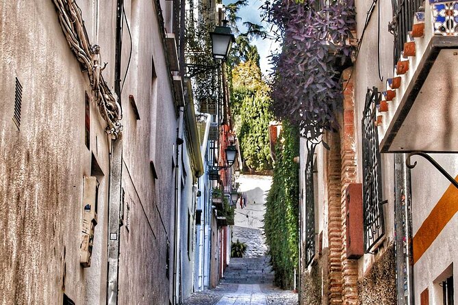 Excursion to Granada from Malaga - Practical Tips for the Tour