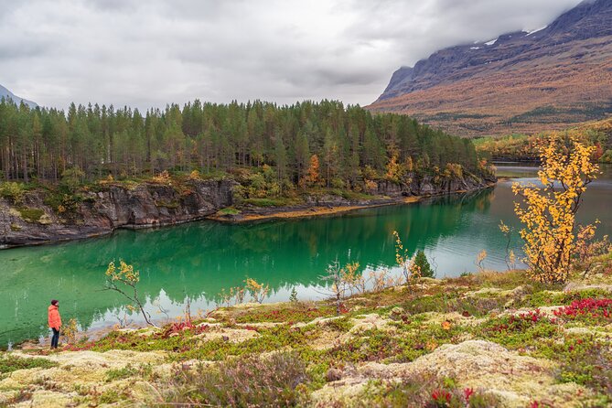Explore the Norwegian Fjords and the Wildlife From Abisko - FAQs