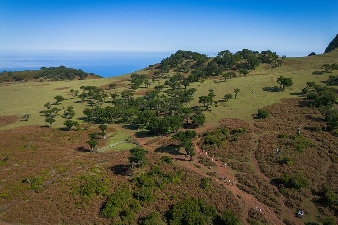 Fanal & Porto Moniz - West Madeira Tour - Why This Tour Works