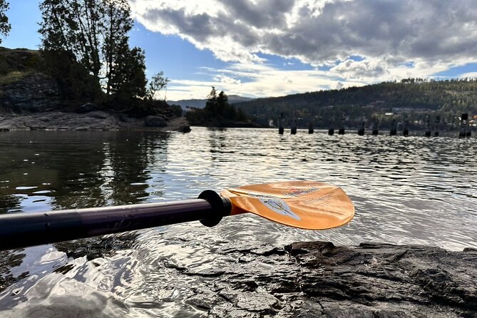Flathead Lake Somers Bay Tour - Why You Should Consider This Tour