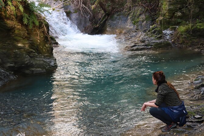 Forest Bathing in Tuscany with Wild Crafted Tea - Practical Details: How the Tour Works