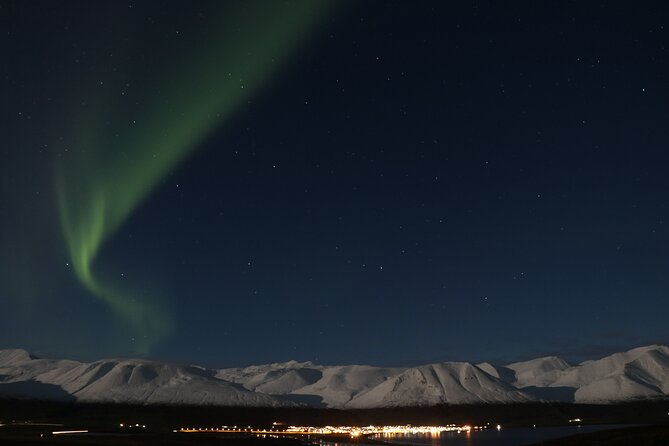 Forest Lagoon and Northern Lights Guided Night Tour - Authentic Experiences and What Travelers Say