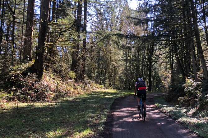 Forest Park Carbon Gravel Bike and E-Bike Tour - Final Thoughts