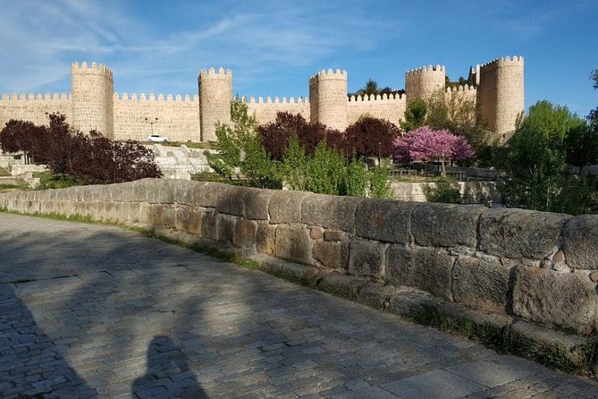From Madrid : Full-Day Avila and Segovia ComBo Tour (with Transportation) - The Sum Up