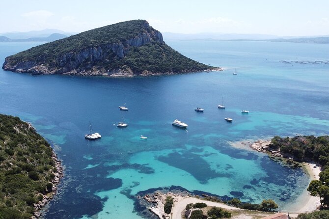 From Olbia: catamaran tour between Tavolara and Cala Moresca - Practical Details and Tips