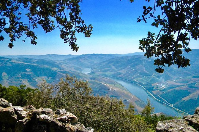 From Porto: Private Douro Valley Tour - The Sum Up