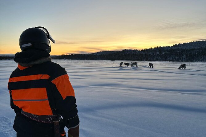 From Saariselkä: Ice Fishing Tour to Lake Inari, reindeers &lunch - The Sum Up