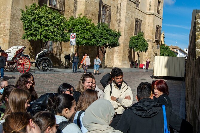 From Seville: Cordoba and Mosque-Cathedral Skip the Line - Insights from Reviews: What Travelers Liked & What Could Be Better