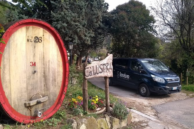 From Venice: Wine Tour in the Euganean Hills - Practical Tips for Making the Most of the Tour