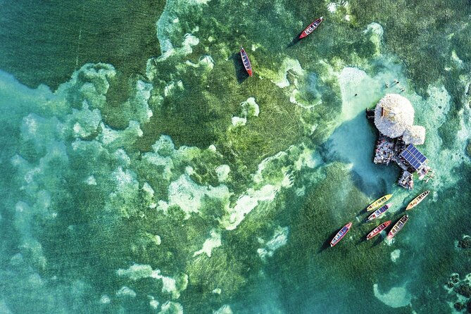 Full Day Appleton Rum YS Falls & Pelican Bar Group Tour - Practical Details and What to Expect