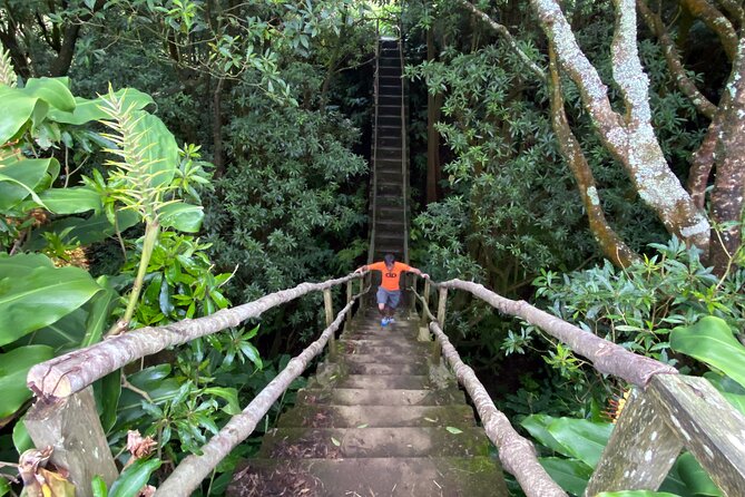 Full Day Hiking Trail Janela do Inferno + Caldeira Velha - Why This Tour Is a Great Choice
