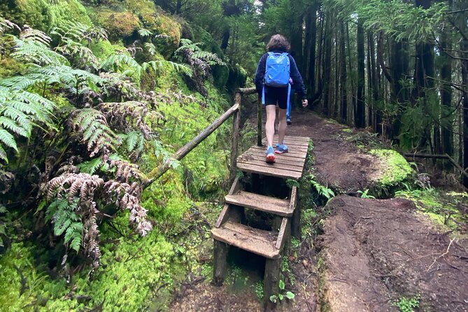 Full Day Hiking Trail Sete Cidades and Ferraria - Practicalities: What You Need to Know