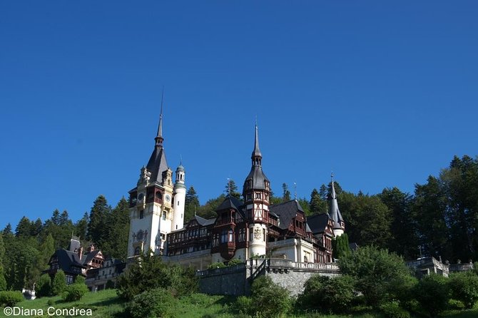 Full-Day Private Tour of Brasov City and Peles Castle from Bucharest - Who Will Love This Tour?