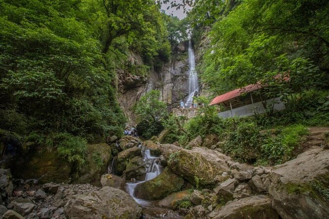 Full Day Tour From Batumi to Waterfalls - Insights from Reviews