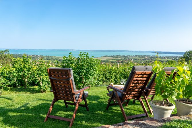 Full-Day Wine Tasting at Lake Balaton Private Tour from Budapest - The Experience: What You Can Expect