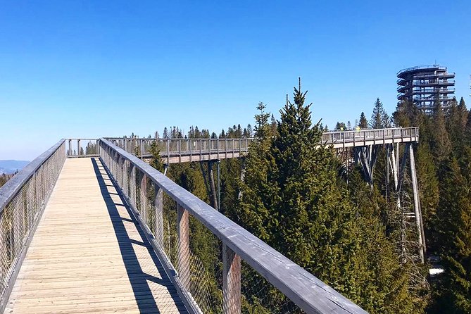 Full-Day Zakopane and Slovakia Treetop Walk From Krakow - Who This Tour Is Perfect For