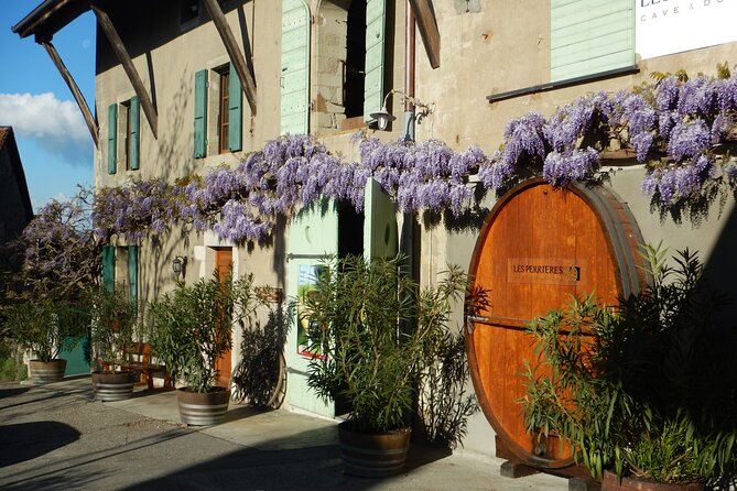 Geneva Countryside By E-Bike With Wine Tasting - What We Think: Who Is This Tour Best For?