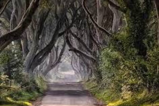 Giants Causeway Tour From Belfast including Game of thrones sites - Authentic Experiences from Past Travelers