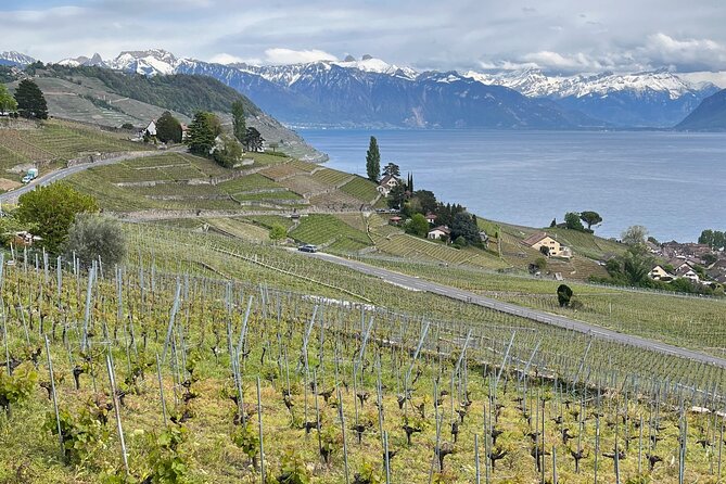 Gourmet Food and Wine Tasting Walk in Lavaux - Authentic Reviews & Personal Touches