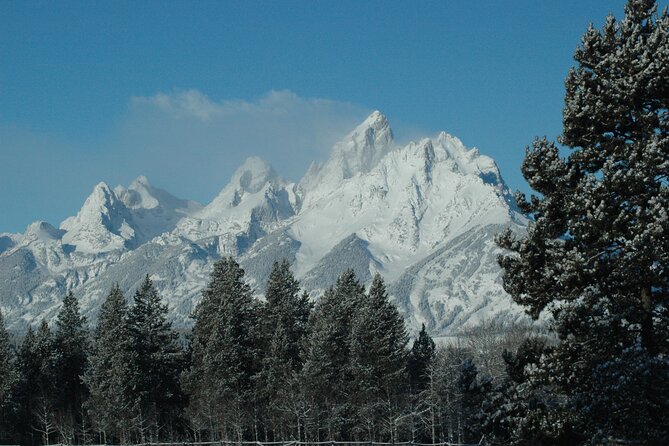 Grand Teton National Park Private Full Day Tour - Transportation and Group Dynamics