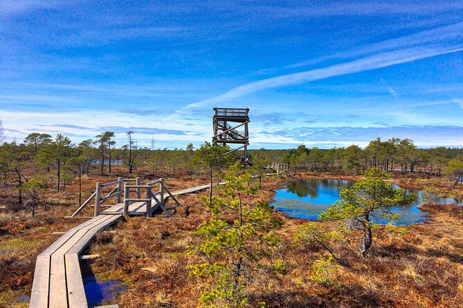 Great emeri Bog and Swamp Forest Hiking Adventure - FAQs