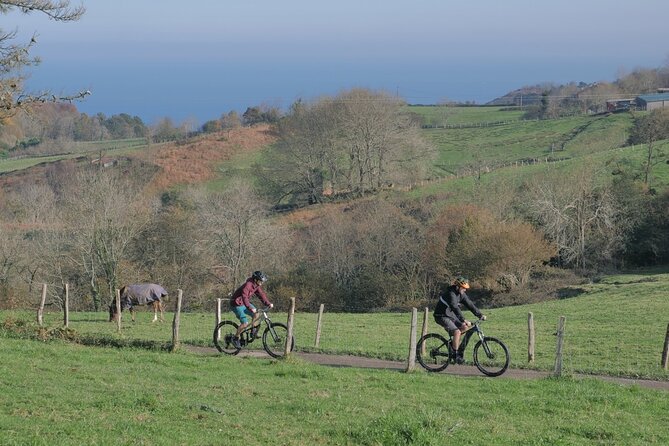 Guided Electric Mountain Bike Tour in Gipuzkoa - The Sum Up