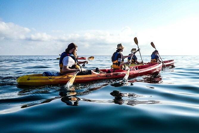 Guided Kayak Tour in St Paul's Island - Final Thoughts