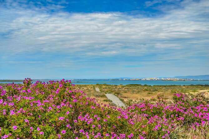Guided Nature Tour & Hop On Hop Off 3 Islands - Detailed Breakdown of the Itinerary