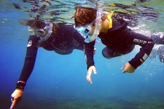 Guided Snorkelling Experience in South of Gran Canaria - Who Will Love This Snorkelling Tour?